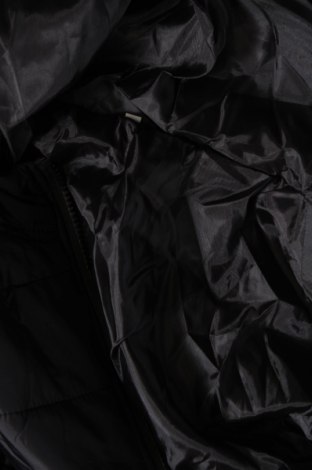 Γυναικείο γιλέκο, Μέγεθος XL, Χρώμα Μαύρο, Τιμή 7,18 €