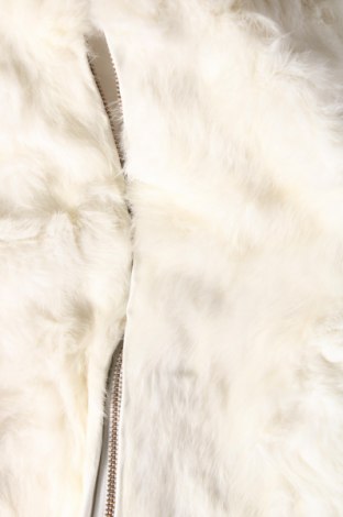 Γυναικείο γιλέκο, Μέγεθος M, Χρώμα Λευκό, Τιμή 12,47 €