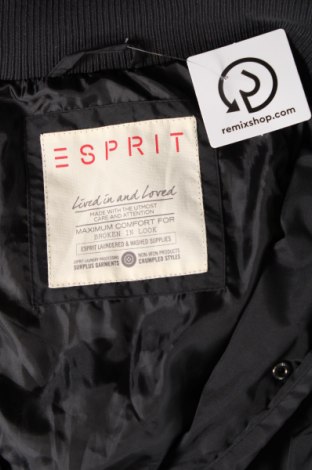 Γυναικείο γιλέκο Esprit, Μέγεθος M, Χρώμα Μαύρο, Τιμή 18,68 €