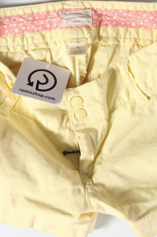 Damen Shorts American Eagle, Größe S, Farbe Gelb, Preis 21,63 €