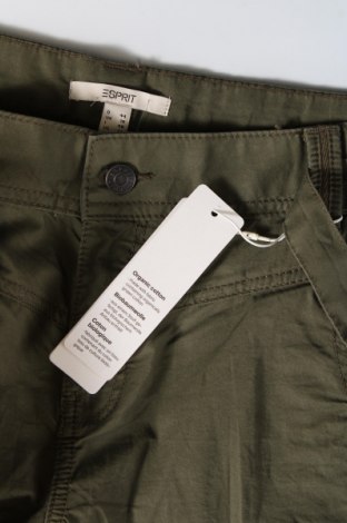 Γυναικείο κοντό παντελόνι Esprit, Μέγεθος XXL, Χρώμα Πράσινο, Τιμή 16,70 €