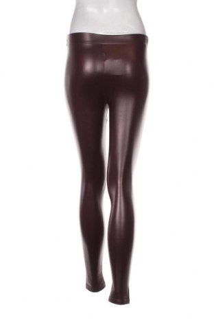 Damen Lederhose Calzedonia, Größe S, Farbe Rot, Preis 7,42 €