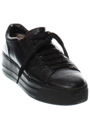 Γυναικεία παπούτσια Musette, Μέγεθος 37, Χρώμα Μαύρο, Τιμή 40,04 €