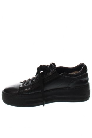 Γυναικεία παπούτσια Musette, Μέγεθος 37, Χρώμα Μαύρο, Τιμή 40,04 €