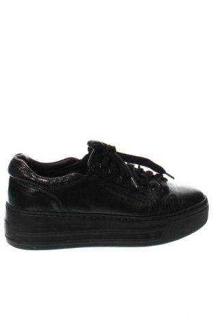 Γυναικεία παπούτσια Musette, Μέγεθος 37, Χρώμα Μαύρο, Τιμή 40,68 €