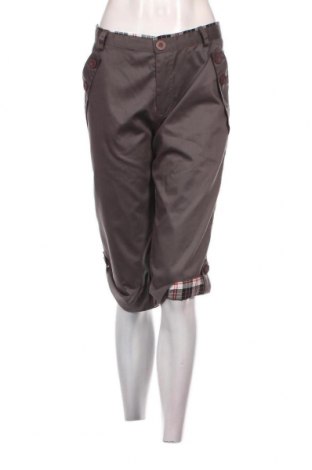 Γυναικείο παντελόνι, Μέγεθος L, Χρώμα Γκρί, Τιμή 5,19 €