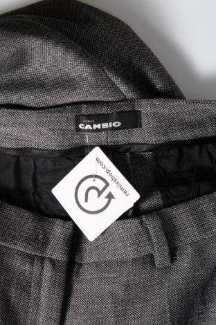 Damenhose Cambio, Größe M, Farbe Grau, Preis 13,96 €