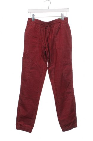 Damenhose Cecil, Größe XS, Farbe Rot, Preis 4,79 €