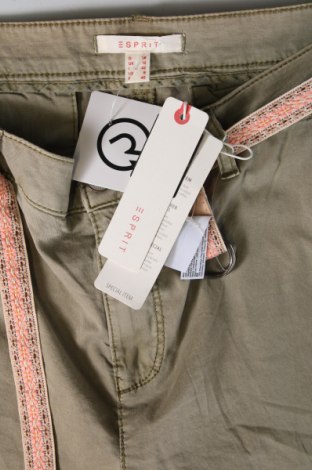 Damenhose Esprit, Größe M, Farbe Grün, Preis € 44,85