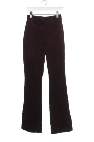 Γυναικείο παντελόνι Marciano by Guess, Μέγεθος XS, Χρώμα Καφέ, Τιμή 17,72 €