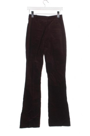 Γυναικείο παντελόνι Marciano by Guess, Μέγεθος XS, Χρώμα Καφέ, Τιμή 19,69 €