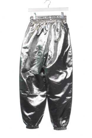 Pantaloni de femei RAIINE, Mărime XS, Culoare Argintiu, Preț 121,97 Lei