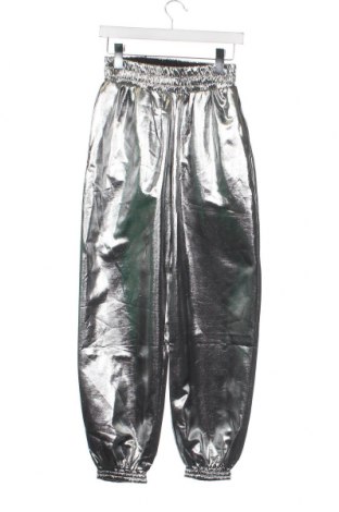 Γυναικείο παντελόνι RAIINE, Μέγεθος XS, Χρώμα Ασημί, Τιμή 23,89 €