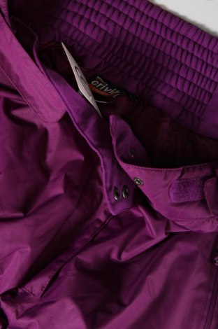 Damenhose für Wintersport Crane, Größe L, Farbe Lila, Preis € 31,31