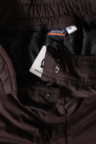 Дамски панталон за зимни спортове Crivit, Размер M, Цвят Кафяв, Цена 36,00 лв.