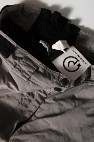 Γυναίκειο παντελόνι για χειμερινά σπορ East Wind, Μέγεθος S, Χρώμα Γκρί, Τιμή 7,42 €