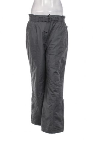 Γυναίκειο παντελόνι για χειμερινά σπορ TCM, Μέγεθος L, Χρώμα Μπλέ, Τιμή 23,20 €