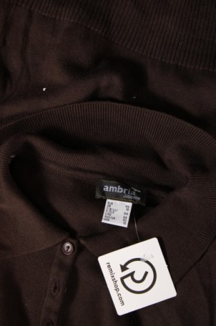 Γυναικείο πουλόβερ Ambria, Μέγεθος L, Χρώμα Καφέ, Τιμή 5,56 €