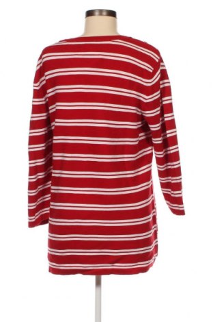 Γυναικείο πουλόβερ Bexleys, Μέγεθος L, Χρώμα Πολύχρωμο, Τιμή 9,74 €