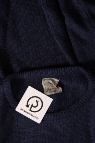 Γυναικείο πουλόβερ Blue Motion, Μέγεθος M, Χρώμα Μπλέ, Τιμή 7,00 €