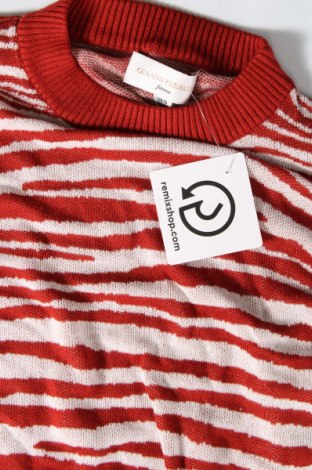 Γυναικείο πουλόβερ Gianni Feraud, Μέγεθος M, Χρώμα Πολύχρωμο, Τιμή 20,71 €