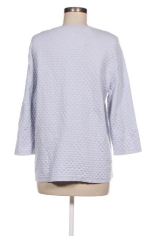 Дамски пуловер Peter Hahn, Размер XL, Цвят Син, Цена 15,50 лв.