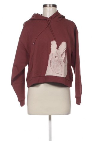 Damen Sweatshirt G-Star Raw, Größe XS, Farbe Rot, Preis 35,75 €