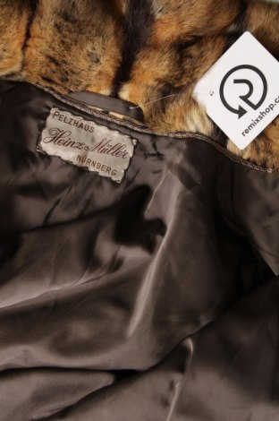 Дамско кожено палто, Размер XS, Цвят Многоцветен, Цена 118,80 лв.