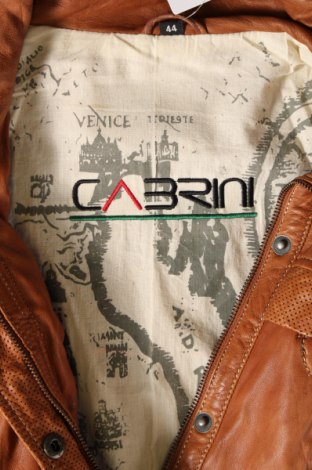 Dámska kožená bunda  Cabrini, Veľkosť XL, Farba Hnedá, Cena  55,09 €