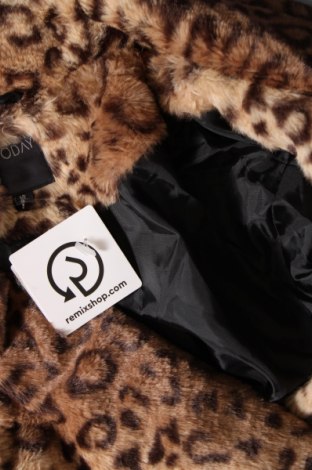 Γυναικείο παλτό, Μέγεθος XL, Χρώμα Πολύχρωμο, Τιμή 33,10 €