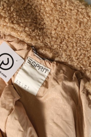 Γυναικείο παλτό Esprit, Μέγεθος XS, Χρώμα Καφέ, Τιμή 33,10 €