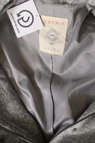 Damenmantel Esprit, Größe M, Farbe Grau, Preis 19,21 €