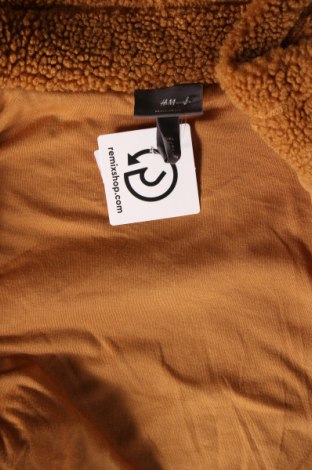 Γυναικείο παλτό H&M, Μέγεθος L, Χρώμα Καφέ, Τιμή 33,10 €