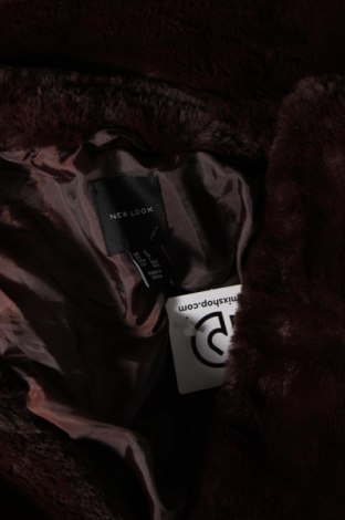 Γυναικείο παλτό New Look, Μέγεθος S, Χρώμα Καφέ, Τιμή 33,10 €
