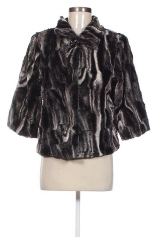 Γυναικείο παλτό Zebra, Μέγεθος S, Χρώμα Πολύχρωμο, Τιμή 10,59 €
