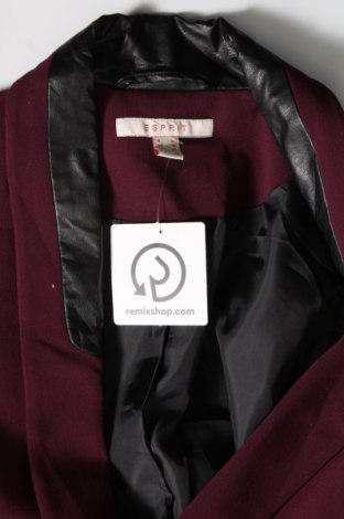 Dámske sako  Esprit, Veľkosť S, Farba Fialová, Cena  4,42 €