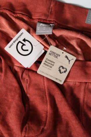 Damen Sporthose PUMA, Größe XL, Farbe Braun, Preis 44,85 €