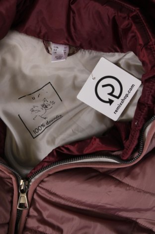 Γυναικείο μπουφάν, Μέγεθος L, Χρώμα Βιολετί, Τιμή 16,15 €