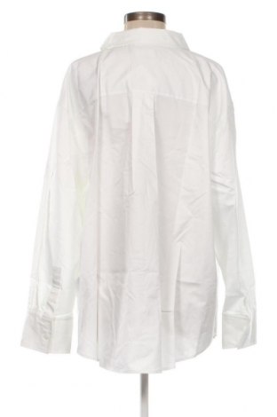 Damenbluse Calvin Klein, Größe 3XL, Farbe Weiß, Preis € 39,33