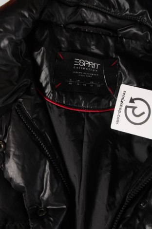 Damenjacke Esprit, Größe M, Farbe Schwarz, Preis 24,88 €