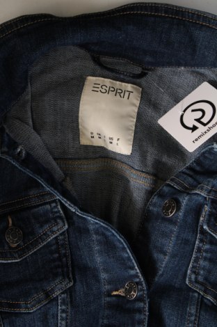 Dámska bunda  Esprit, Veľkosť M, Farba Modrá, Cena  23,25 €