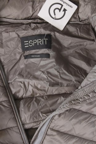 Γυναικείο μπουφάν Esprit, Μέγεθος L, Χρώμα Γκρί, Τιμή 16,79 €