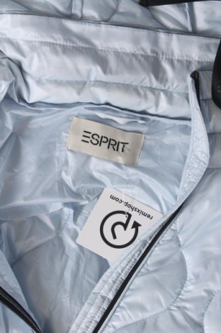 Dámska bunda  Esprit, Veľkosť XL, Farba Modrá, Cena  36,86 €