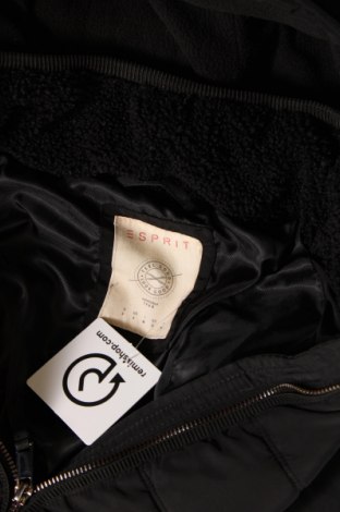 Γυναικείο μπουφάν Esprit, Μέγεθος S, Χρώμα Μαύρο, Τιμή 26,44 €