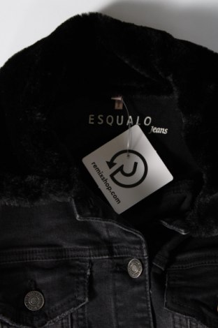 Γυναικείο μπουφάν Esqualo, Μέγεθος XS, Χρώμα Γκρί, Τιμή 5,83 €