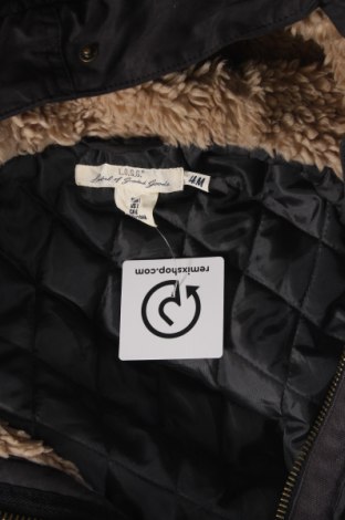 Dámska bunda  H&M L.O.G.G., Veľkosť L, Farba Sivá, Cena  15,79 €