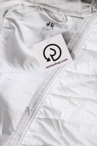 Γυναικείο μπουφάν H&M Sport, Μέγεθος M, Χρώμα Γκρί, Τιμή 13,86 €