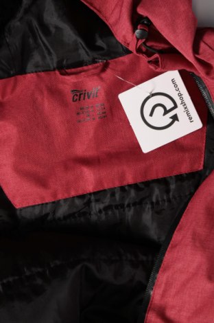 Dámská bunda pro zimní sporty  Crivit, Velikost M, Barva Růžová, Cena  617,00 Kč