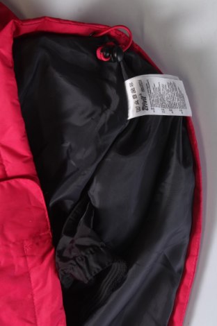 Dámská bunda pro zimní sporty  Crivit, Velikost S, Barva Růžová, Cena  740,00 Kč