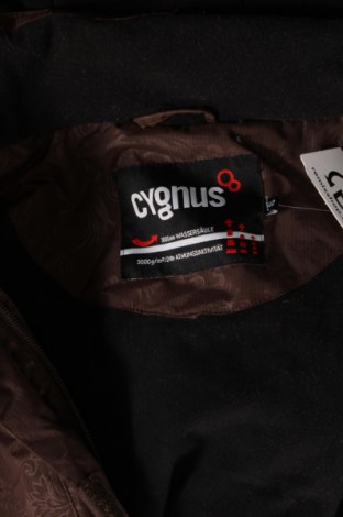 Дамско яке за зимни спортове Cygnus, Размер L, Цвят Кафяв, Цена 21,60 лв.